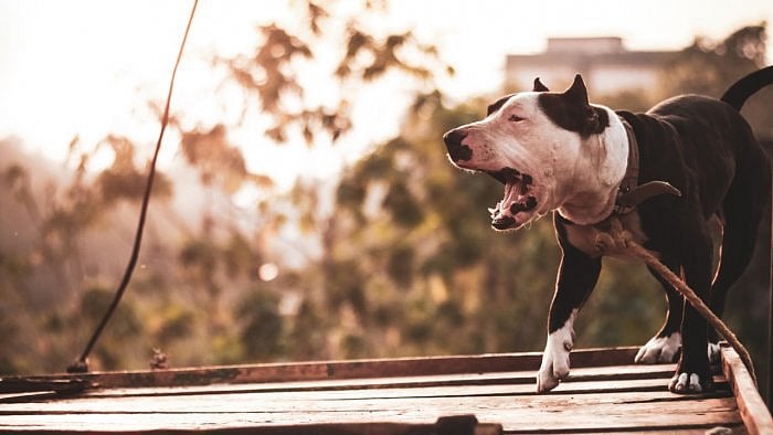 Representative image. Credit: iStock Photo