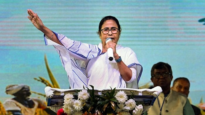 Mamata Banerjee. Credit: PTI Photo