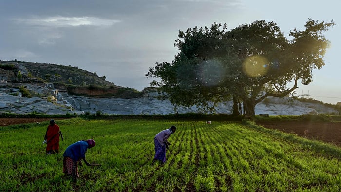 Tamilaga Vivasayigal Sangam general secretary S Udayakumar said that the farmers had announced the decision to boycott elections much before the East Erode bye-election was announced. Credit: AFP Photo