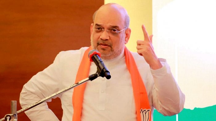 Amit Shah. Credit: PTI Photo