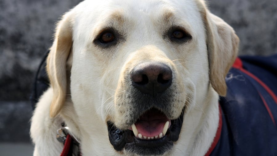 Representative image. Credit: iStock Photo