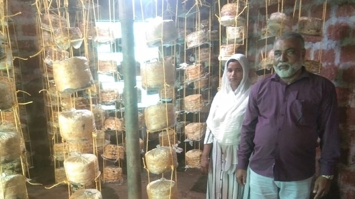 Couple beat all odds to script success in mushroom cultivation in Karnataka