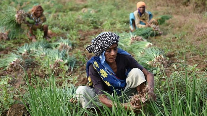 Representative image. Credit: AFP File Photo 