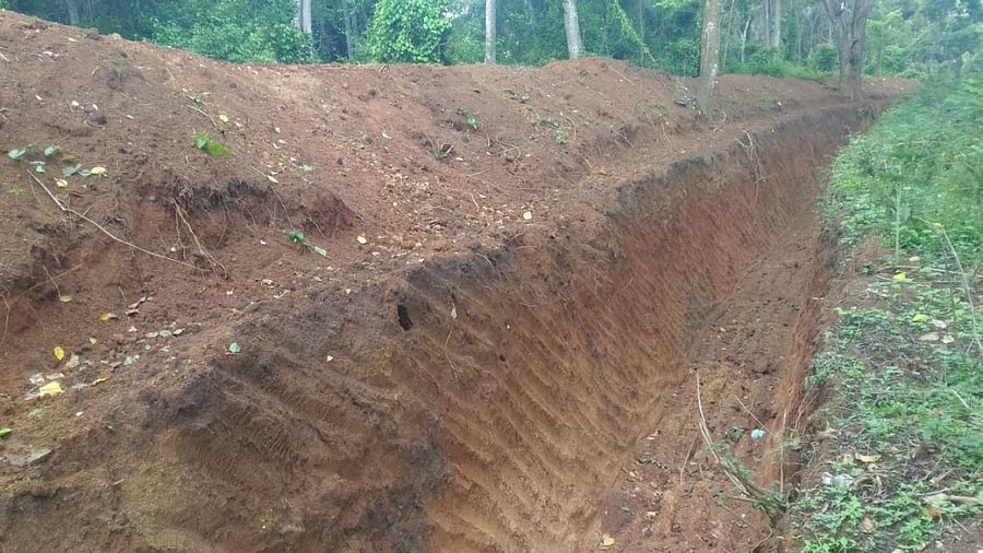 The proposal says that the removal of elephant trenches surrounding private land will help wildlife movement. Credit: Special Arrangement