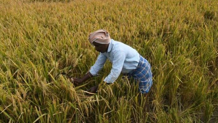 Representative image. Credit: AFP File Photo