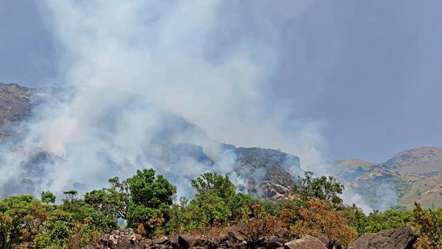 The fire in the in the Belthangady Wildlife Range. Credit: Special Arrangement
