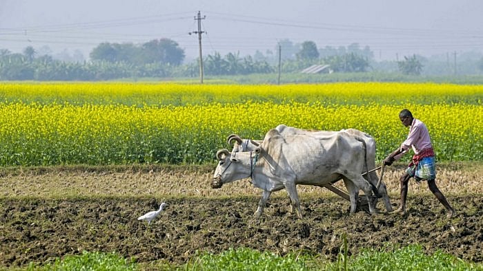 Representative image. Credit: PTI File Photo  