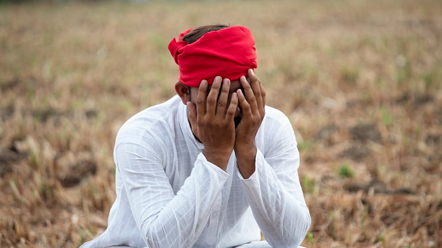 Representative image. Credit: iStock Photo