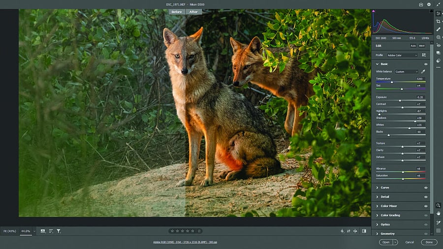 Before and After (RAW and JPG formats) (Pic by Ramu Mastaiah)