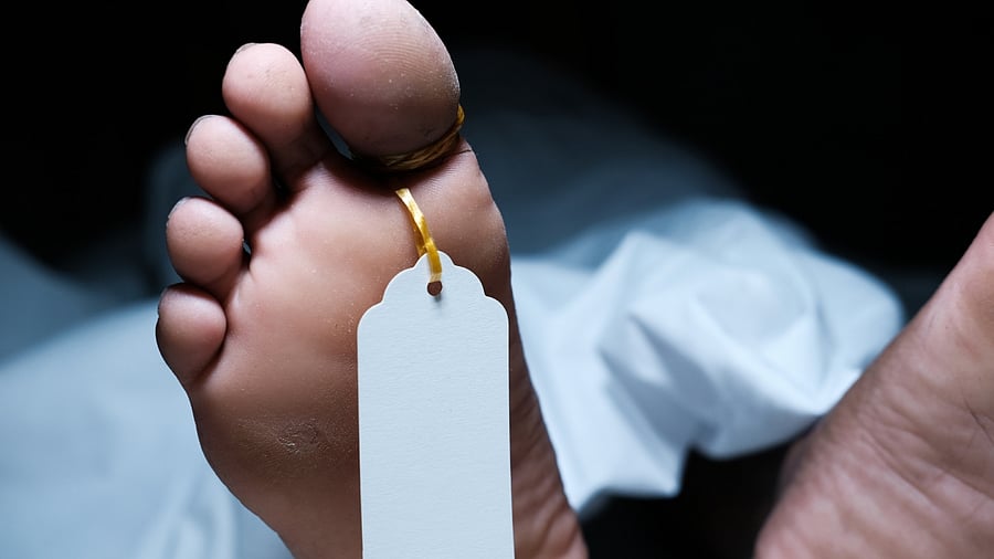 Representative image. Credit: iStock Photo