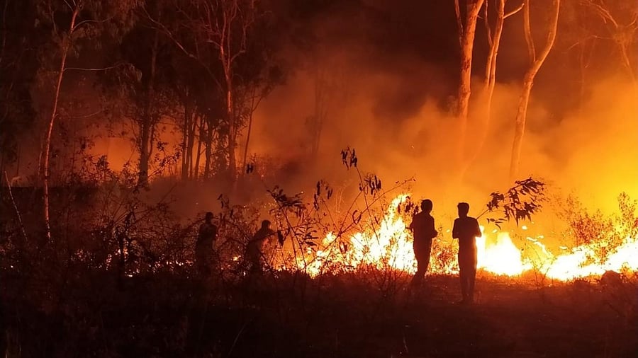 Officials say the department requires an additional Rs 5 crore to Rs 6 crore annually to procure safety gear and train the guards. Credit: DH Photo