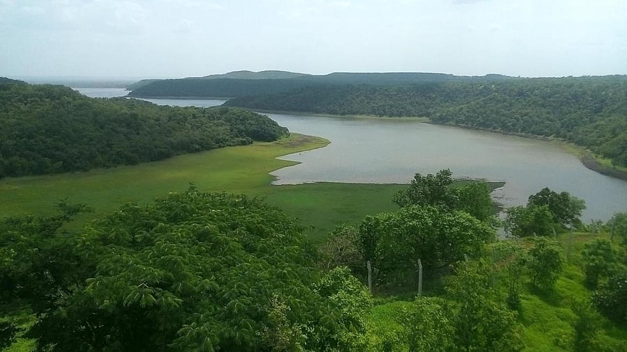 Representative image. Credit: DH File Photo