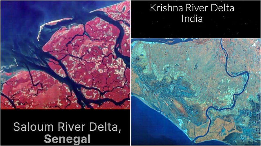 The image of Krishna River Delta and of Saloum River Delta, Senegal released by Pixxel . Credit: PTI Photo