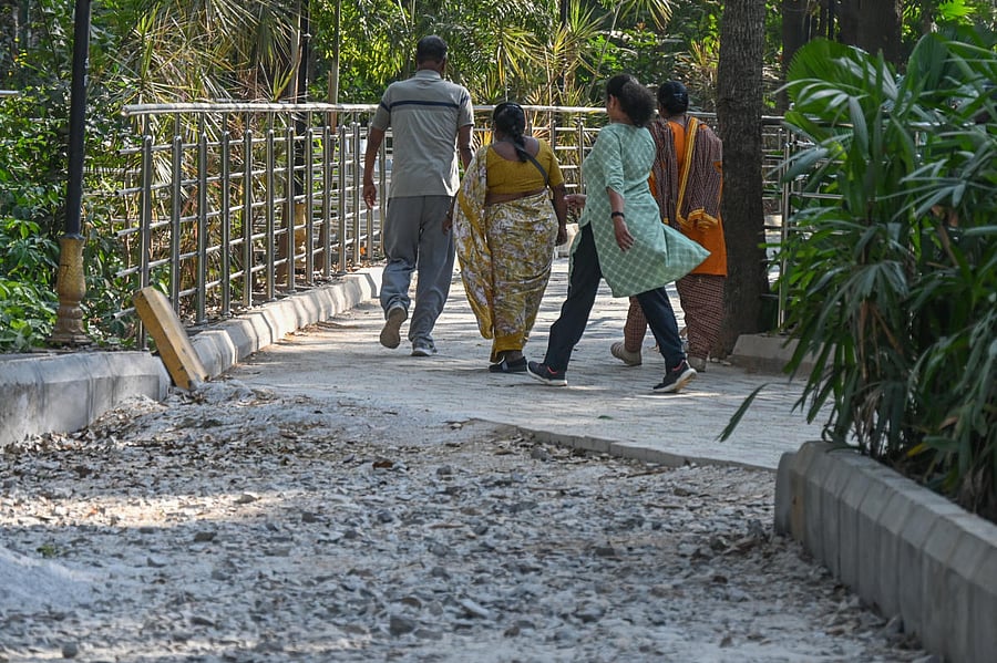 A frequent visitor says M N Krishna Rao Park, a popular lung space in Basavanagudi, now feels like a ‘tree and plant zoo’. DH Photo by SK Dinesh