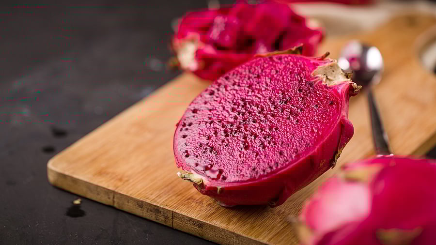 Representative image. Credit: iStock Photo