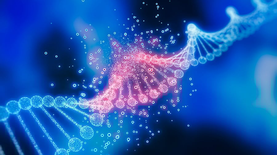 Representative image. Credit: iStock Photo