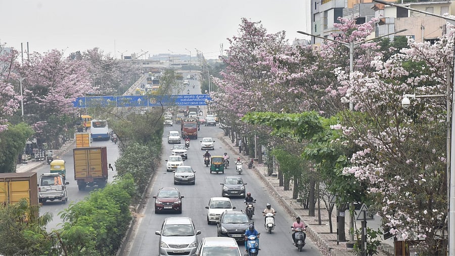 The IMD’s 30-year climatological normal value, which is calculated as a mean value for a period of 30 years, also showed a slight increase in temperatures. Credit: DH Photo