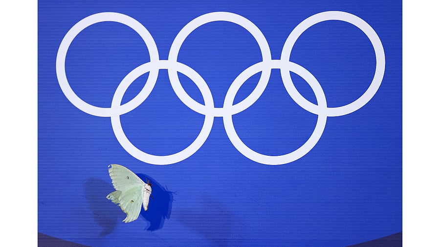 The 2032 joint bid had sought to build on the Pyeongchang Winter Olympics hosted in the South in 2018, during which athletes from both Koreas marched under a unified flag at the opening ceremony and fielded a combined women's ice hockey team. Credit: Reuters Photo