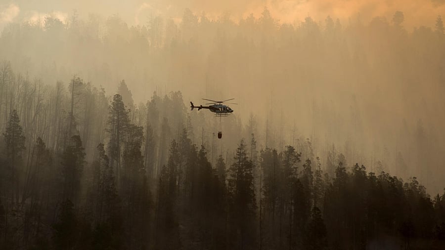 Representative Image. Credit: Reuters Photo