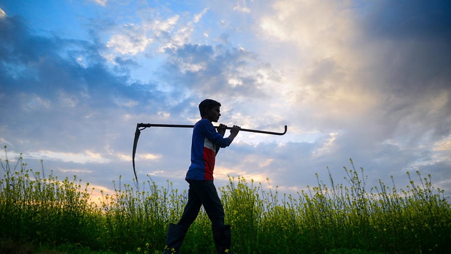 Representative Image. Credit: PTI Photo