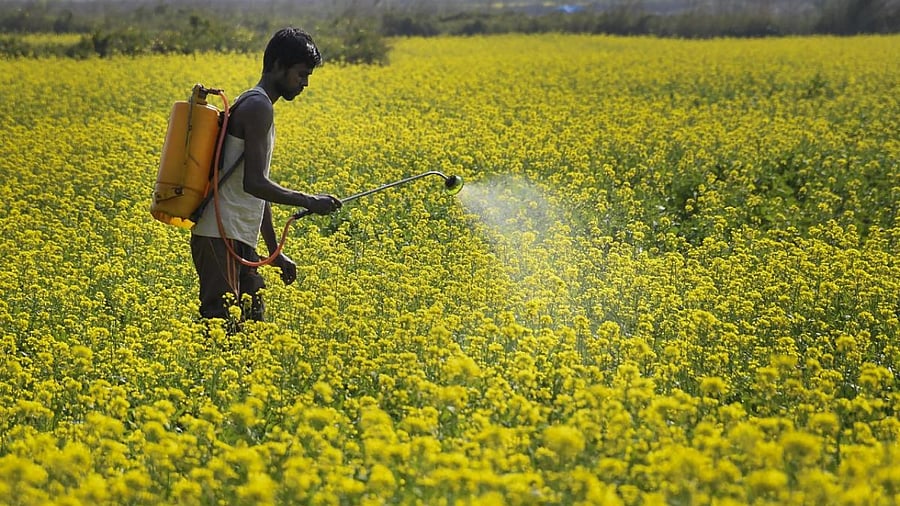 Representative Image. Credit: PTI Photo