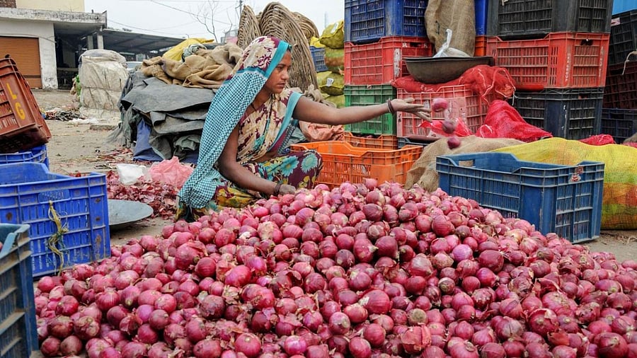Representative Image. Credit: PTI Photo