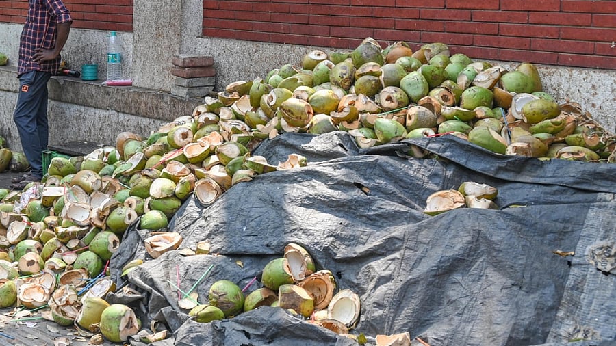 Discarded tender coconut shells littering street corners is an eyesore. Credit: DH Photo