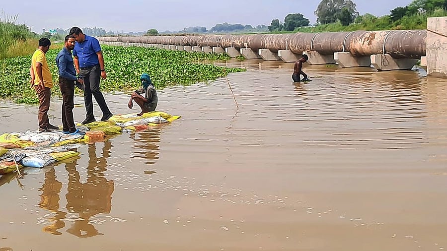 Representative image. Credit: PTI Photo