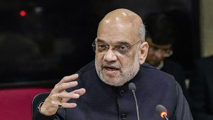 Union Home Minister Amit Shah. Credit: PTI Photo
