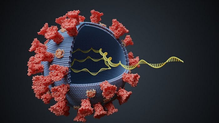People infected with the SARS-CoV-2 virus may experience changes in genome structure. Credit: iStock Photo