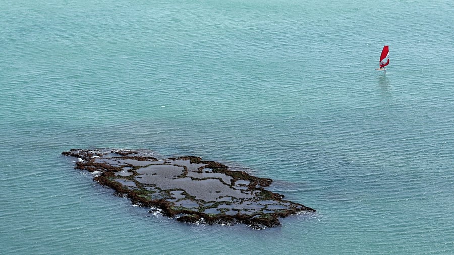 Representative image. Credit: Reuters Photo