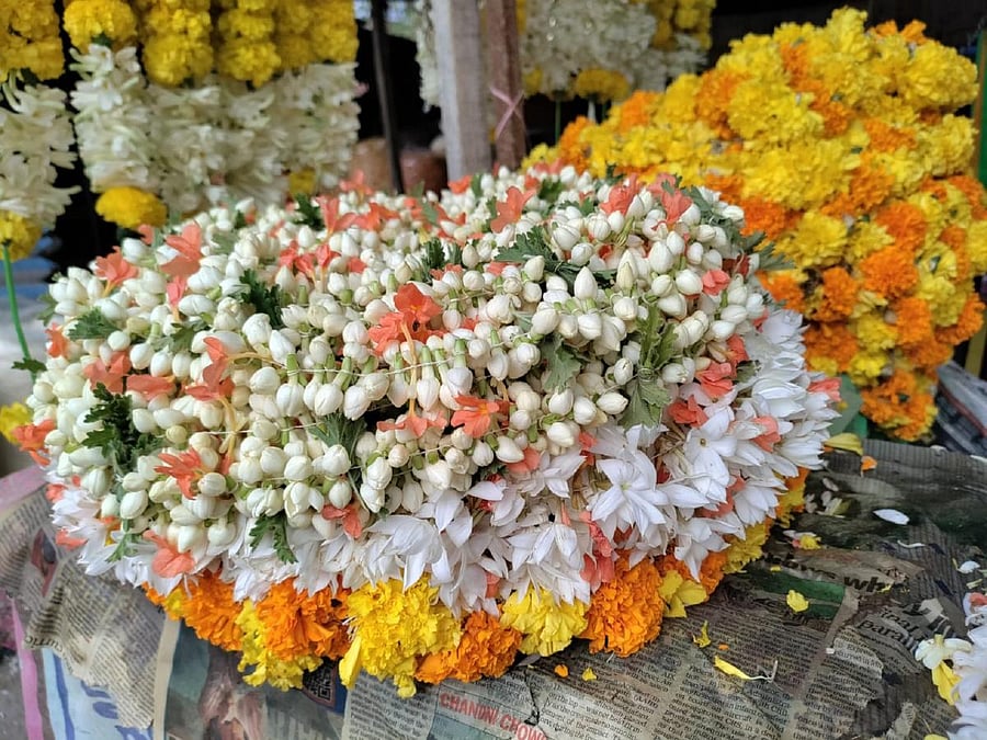 In fact, hardly 10 acres are under cultivation of each of these crops, according to farmers cultivating them and horticulture department sources. Credit: DH Photo