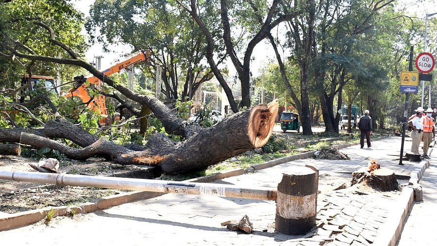 <div class="paragraphs"><p>Roadwork in Bengaluru.</p></div>