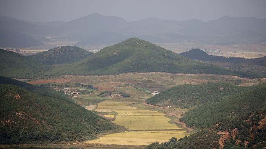 A general view of a rice field in North Korea's propaganda village Kaepoong in this picture taken from the top of the Aegibong Peak Observatory, south of the demilitarised zone. Credit: Reuters Photo