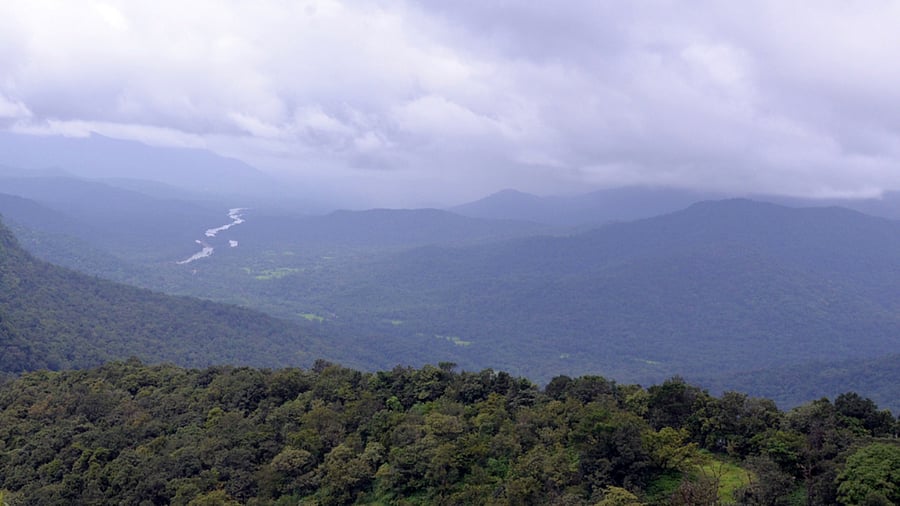 While registered homestays are inspected once a year by the tourism department, the illegal ones do not come under the official radar at all. Credit: DH Photo