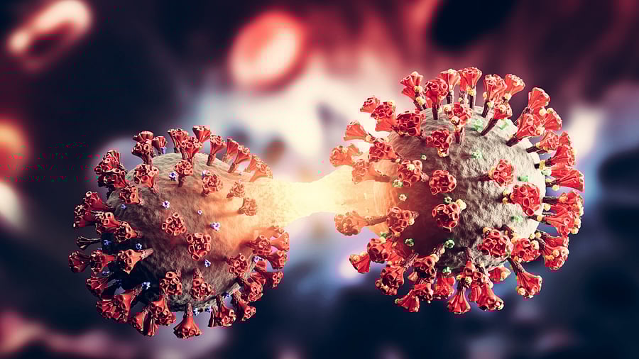 Representative Image. Credit: iStock Photo