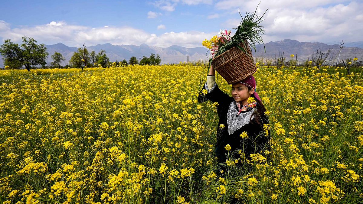 Kashmir's Spring Tourism Season Faces Fuel Supply Concerns Amid Government Push