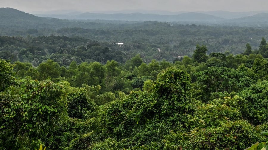 Between 2018-19 and 2022-23, the central government has diverted forest land for various departments under 25 categories.