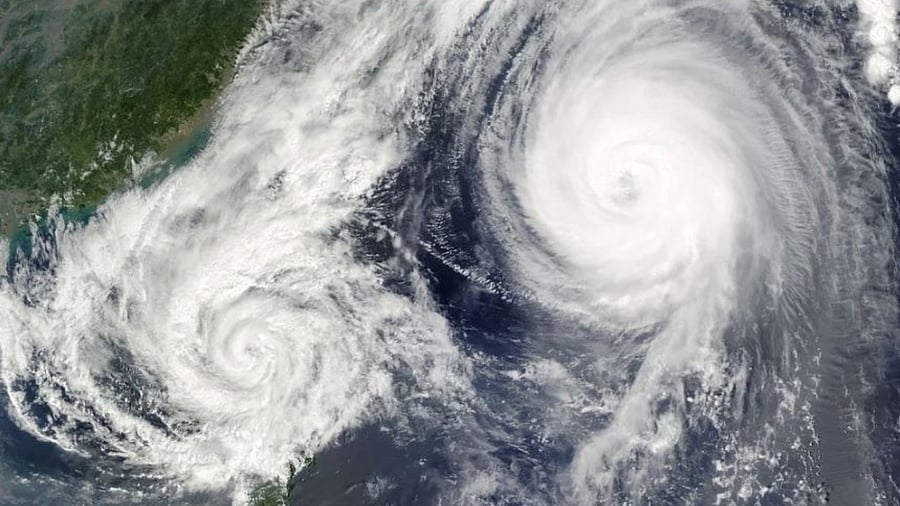 Representative image. Credit" Pixabay Photo