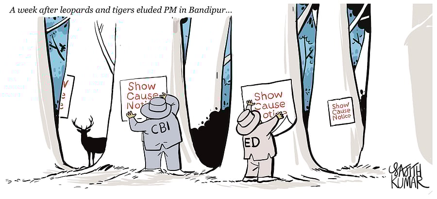 Credit: Sajith Kumar