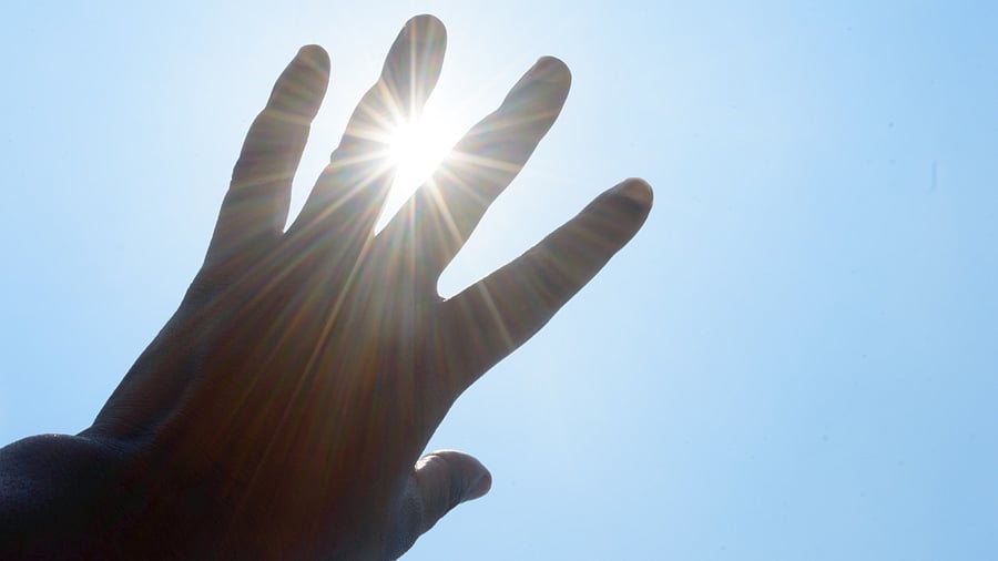Representative Image. Credit: iStock Photo