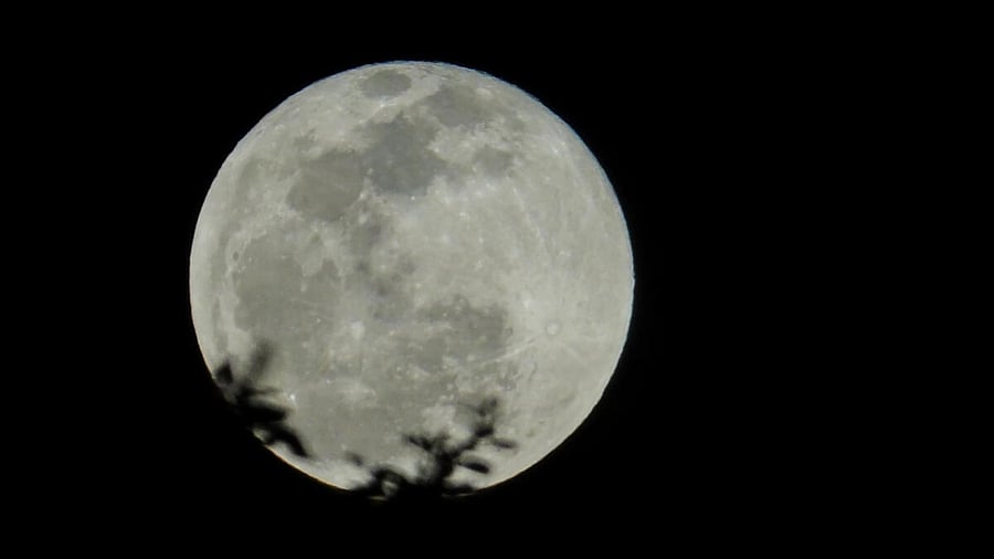 Representative Image. Credit: PTI Photo