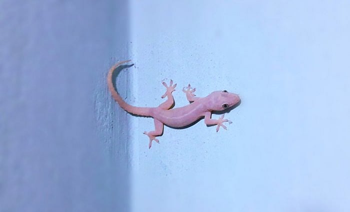 Representative image. Credit: iStock Photo