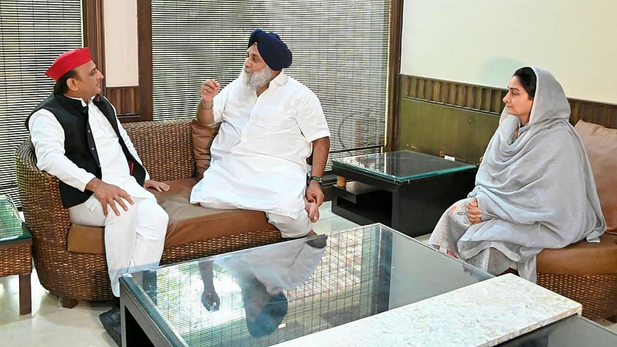 Samajwadi Party chief Akhilesh Yadav visits Shiromani Akali Dal President Sukhbir Singh Badal and Harsimrat Kaur Badal at their home in village Badal in district Shri Mukatsar Sahib. Credit: PTI Photo