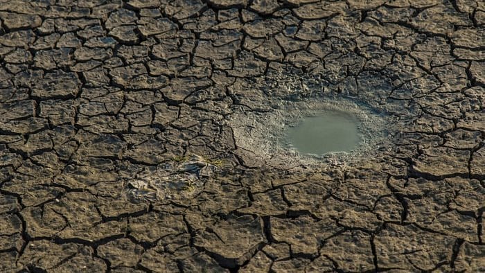 Representative Image. Credit: iStock Photo