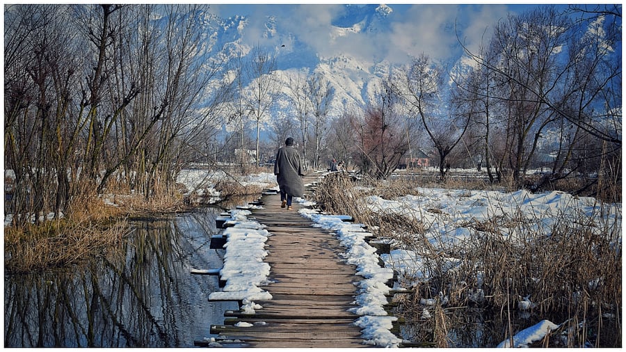 Representative Image.  Credit: iStock Photo