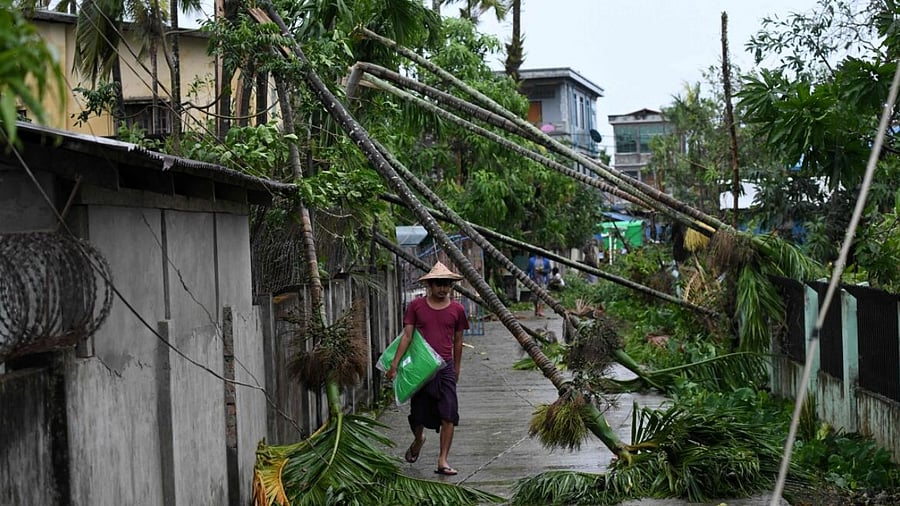 A local resident walks past the fallen trees after Cyclone Mocha's crashed ashore, in Kyauktaw in Myanmar’s Rakhine state. credit: AFP Photo