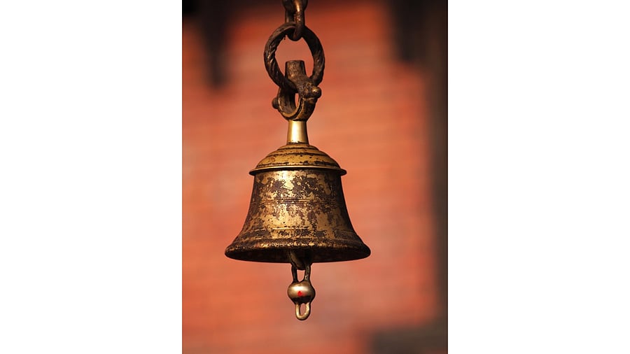 Representative image. Credit: iStock Photo