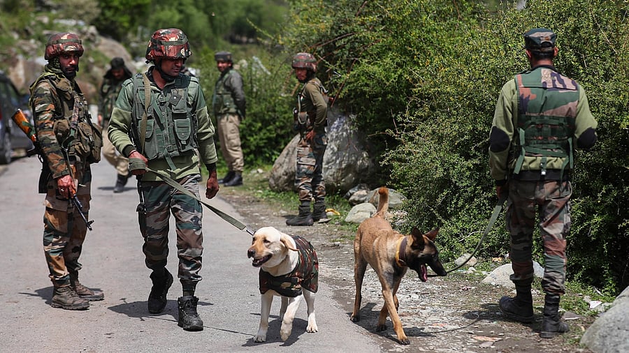 Representative image. Credit: PTI File Photo