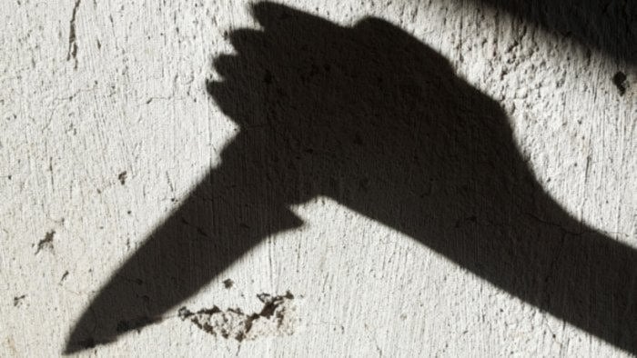 <div class="paragraphs"><p>Representative image of a knife. </p></div>